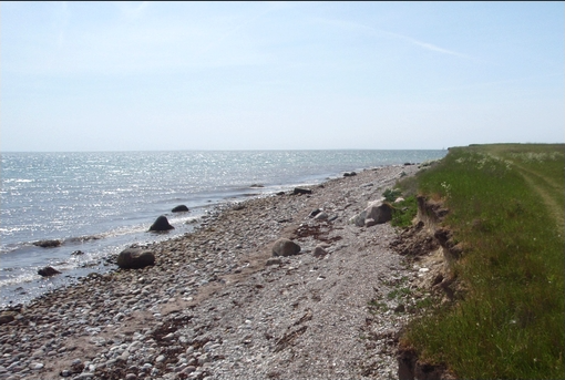strand møder